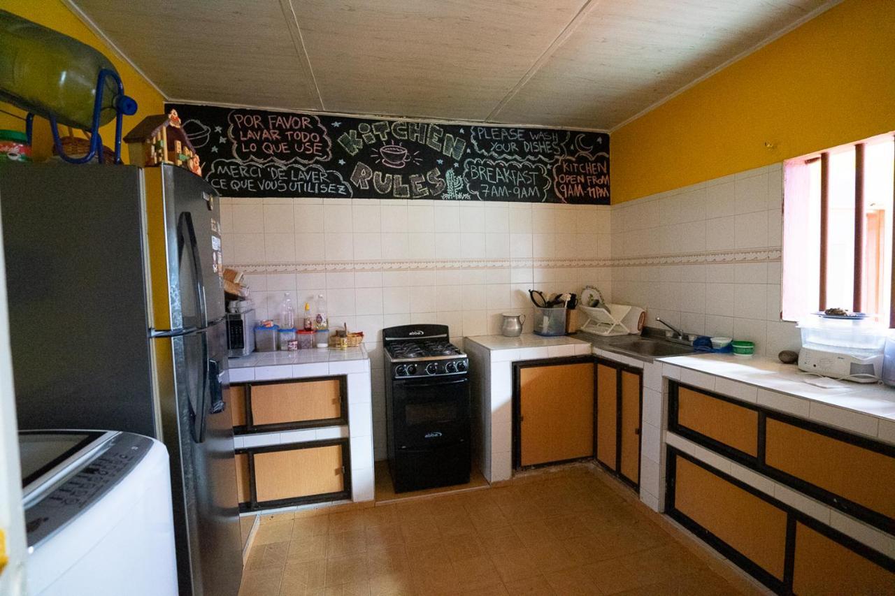 Backpackers And Travellers Hostel ネイバ エクステリア 写真